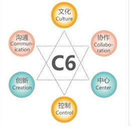 金和C6六脈神劍 助力企業(yè)跨越管理黑洞，實(shí)現(xiàn)高效運(yùn)營(yíng)